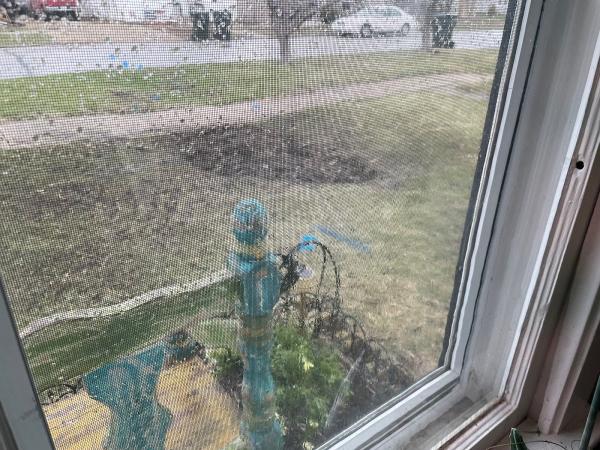Zippy Drain