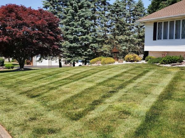 Cut & Vac Lawn Care Systems