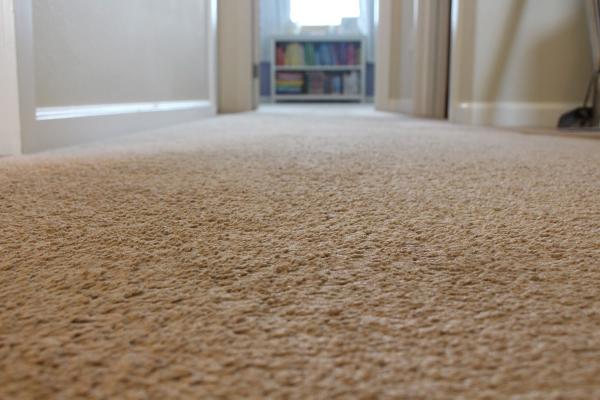 Certified Green Carpet Cleaning
