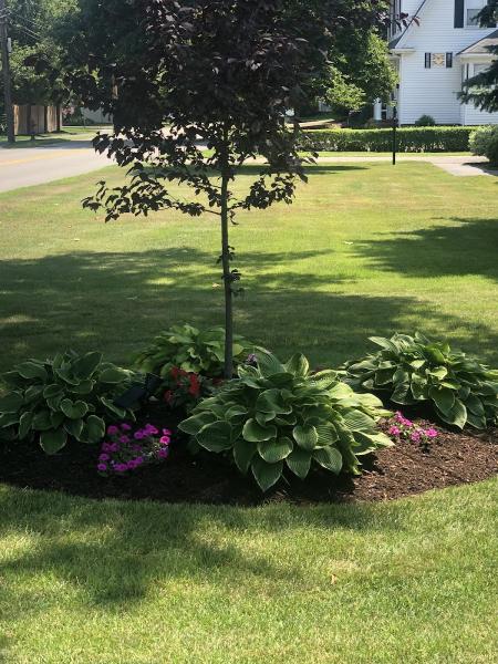 Precision Landscaping & Design