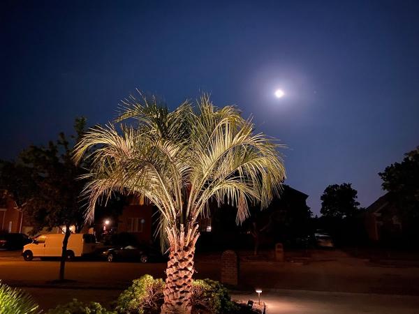 Paradise Palms Va Beach