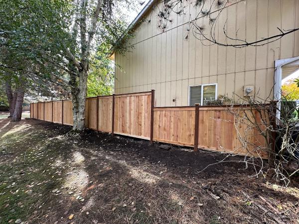 MTZ Landscaping & Services LLC