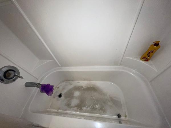Pink Shine Cleaning Service