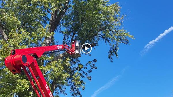 Cam's Tree Service