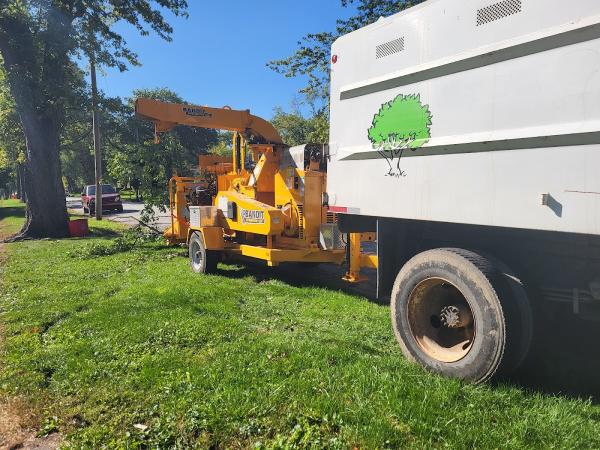 Cam's Tree Service