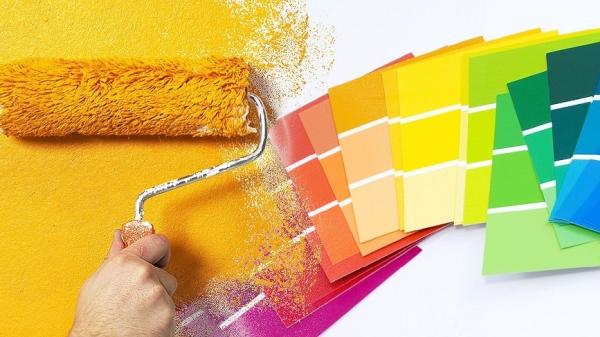 Xpert Painting Plus