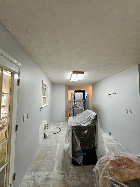Xpert Painting Plus