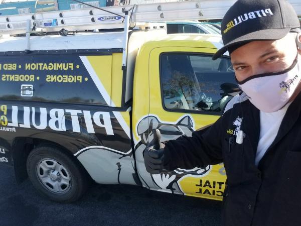 Pitbull Pest Control