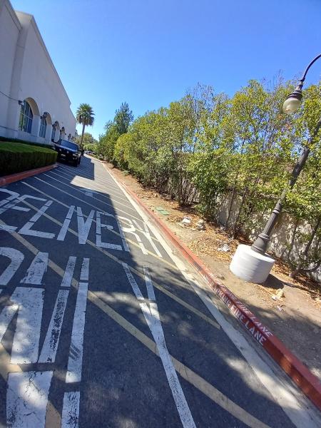 Calderon Landscaping & Grass Painting Services