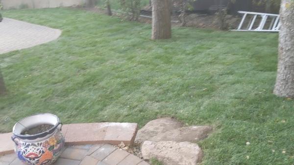 Northland Turf Inc.