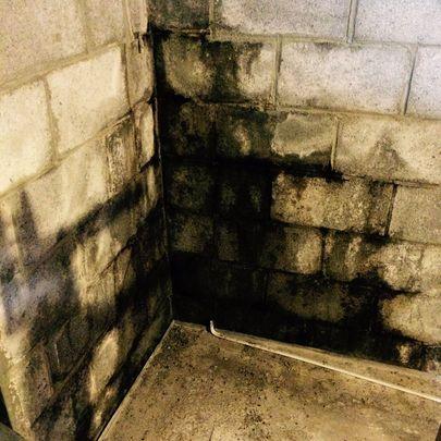 C & J Basement Solutions