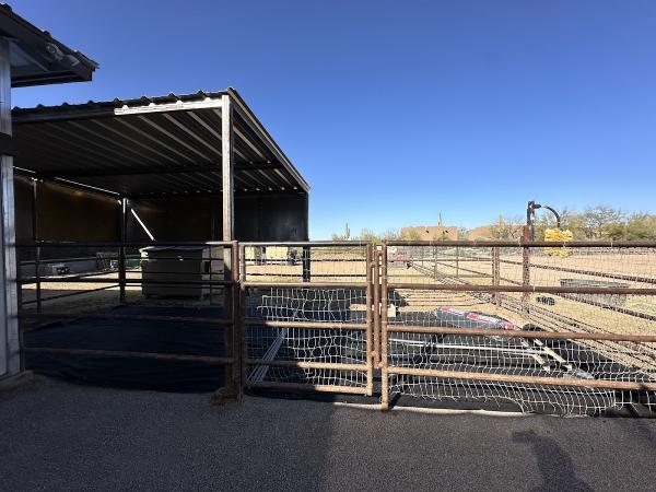 Botello Builders LLC