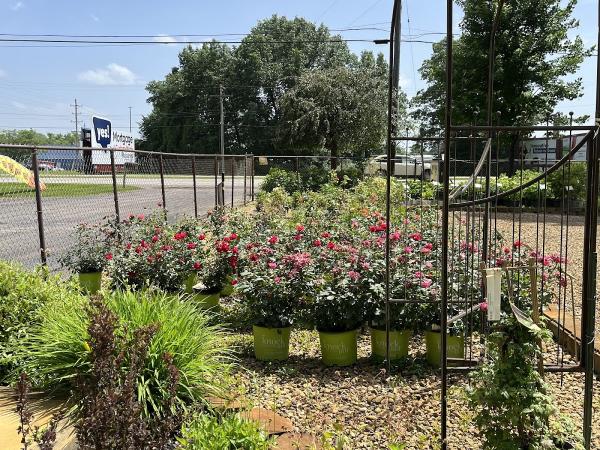 Greenscape Services