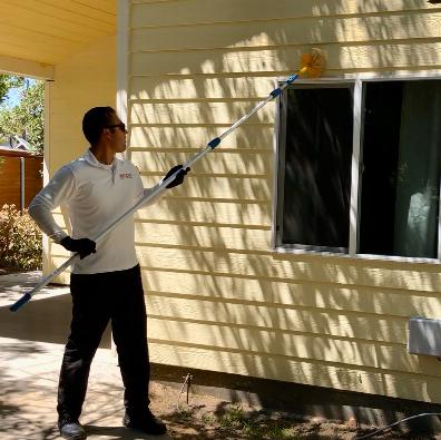 Efficient Pest Services