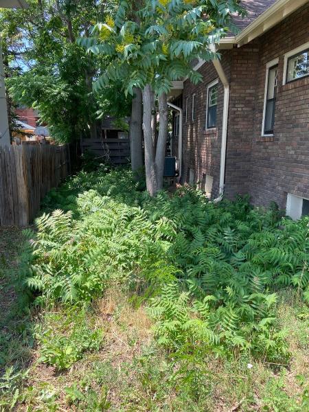 Green Earth Junk Removal