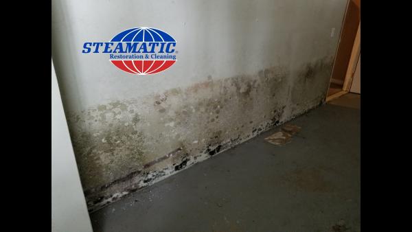 Steamatic