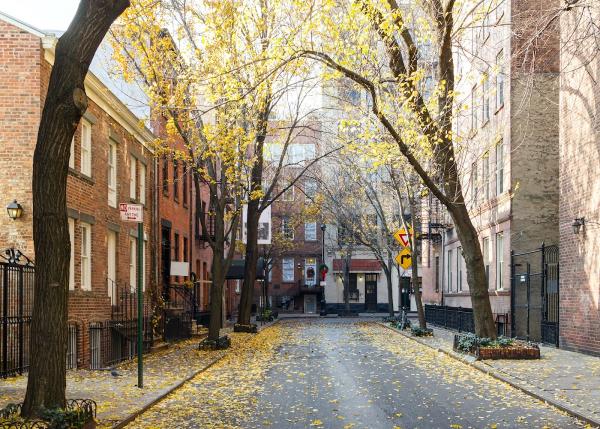 NYC Tree Trimming & Removal