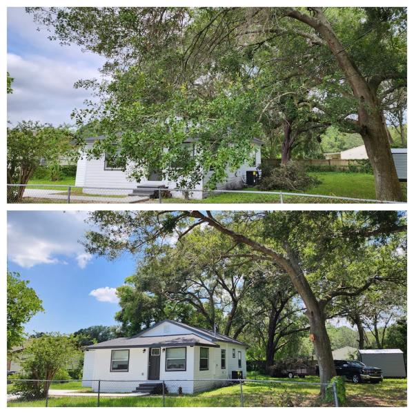 Tree Tune-Ups