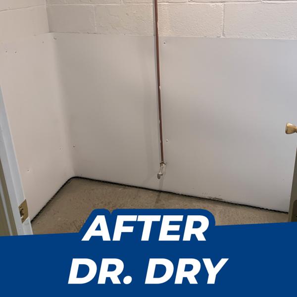 Dr. Dry