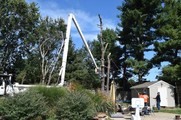 Tomahawk Tree Services