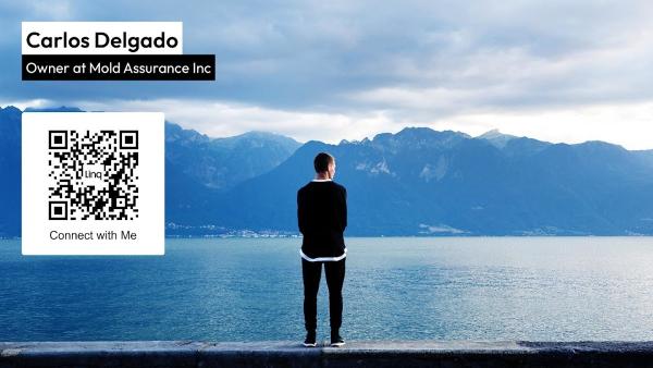 Mold Assurance Inc