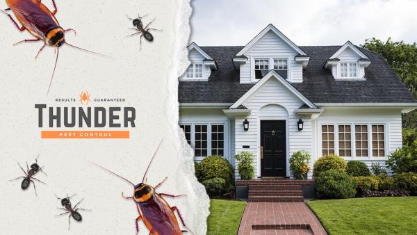 Thunder Pest Control