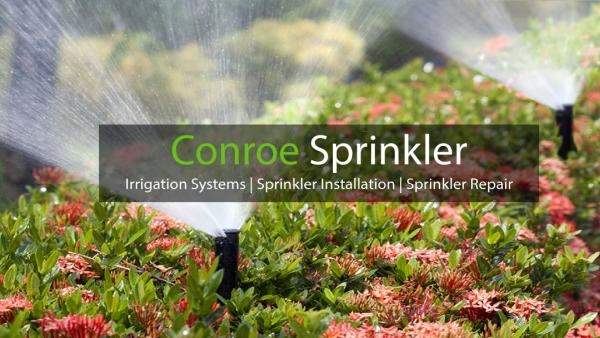 Conroe Sprinkler