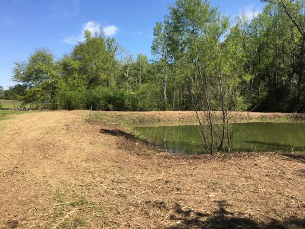 J & W Land Clearing