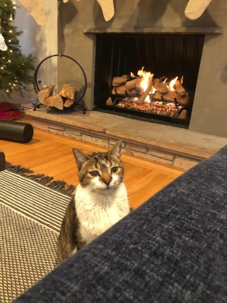 Penguin Fireplace