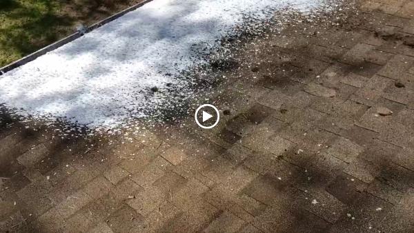 The Roof Rejuvenators Soft Wash Exterior Cleaning
