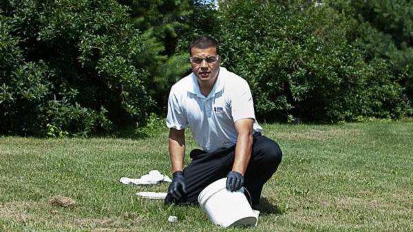 Sting Operation Pest Control