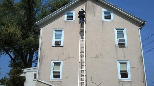 Sting Operation Pest Control