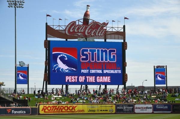 Sting Operation Pest Control
