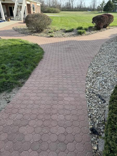 Paver Rescue