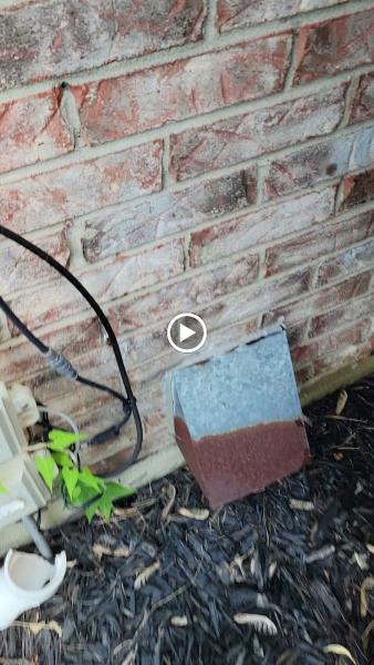 AG Pest Control