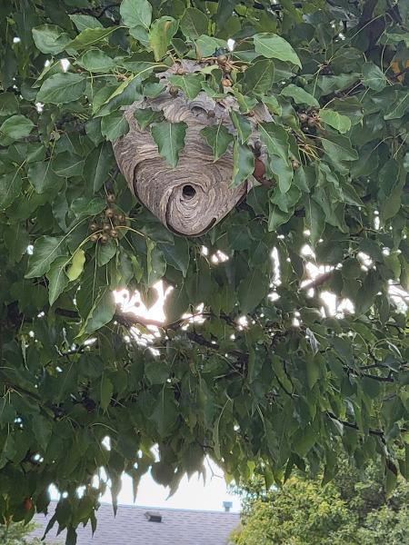AG Pest Control