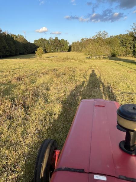 Foye Landscaping & Lawncare LLC