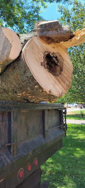 Greenbrier Tree Experts