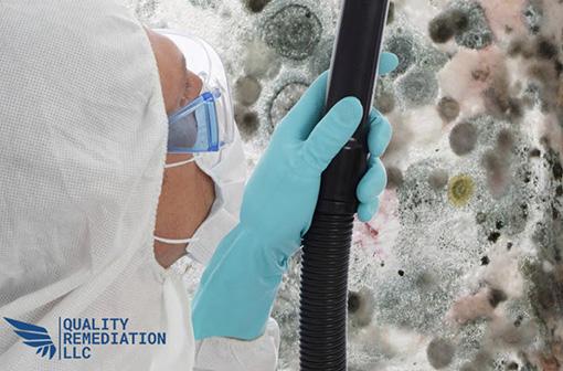 Quality Mold Remediation