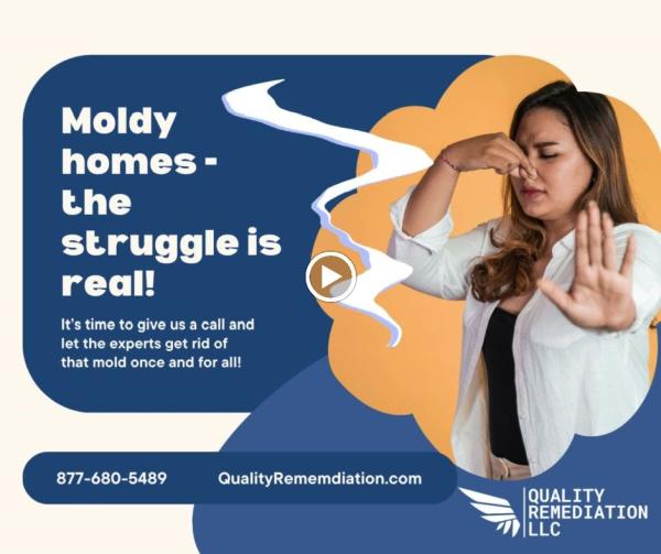 Quality Mold Remediation