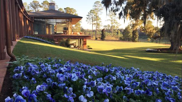 Andres Montero Landscape Architecture