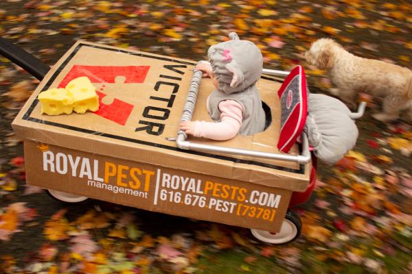 Royal Pest Management