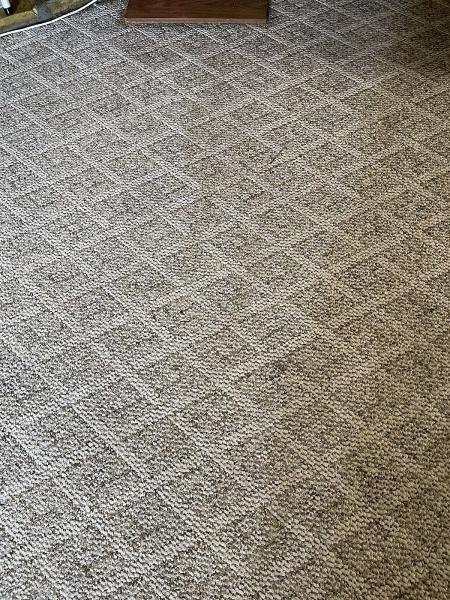 Prime Carpet & Rugs Cleaning