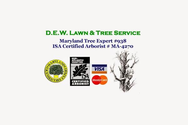 DEW Lawn & Tree Services