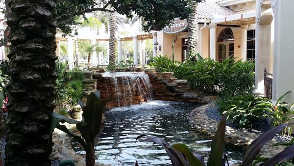 Vision Landscape Services