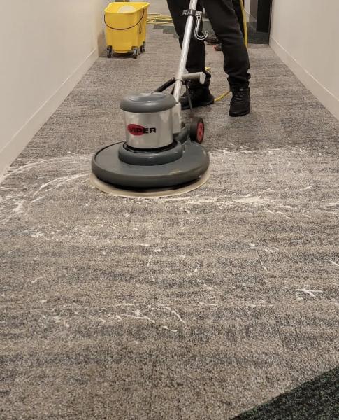 Belle Cleaning LLC