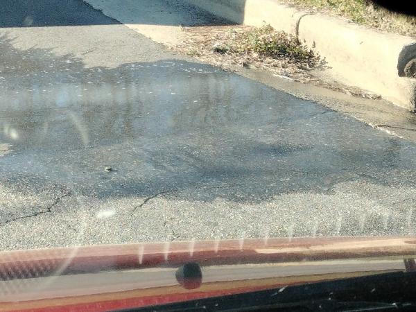 Zimmerman Carpet & Rug Cleaners