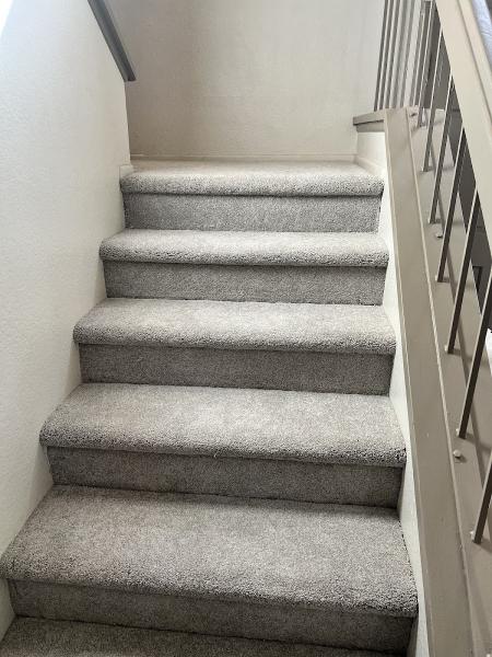 Carpet Time