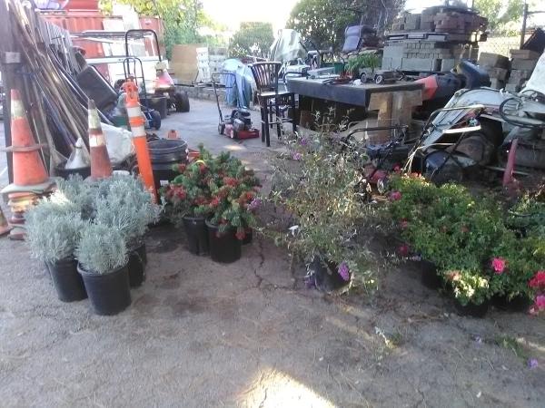 Figs Landscaping Inc