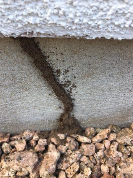 Jim's Pest Control